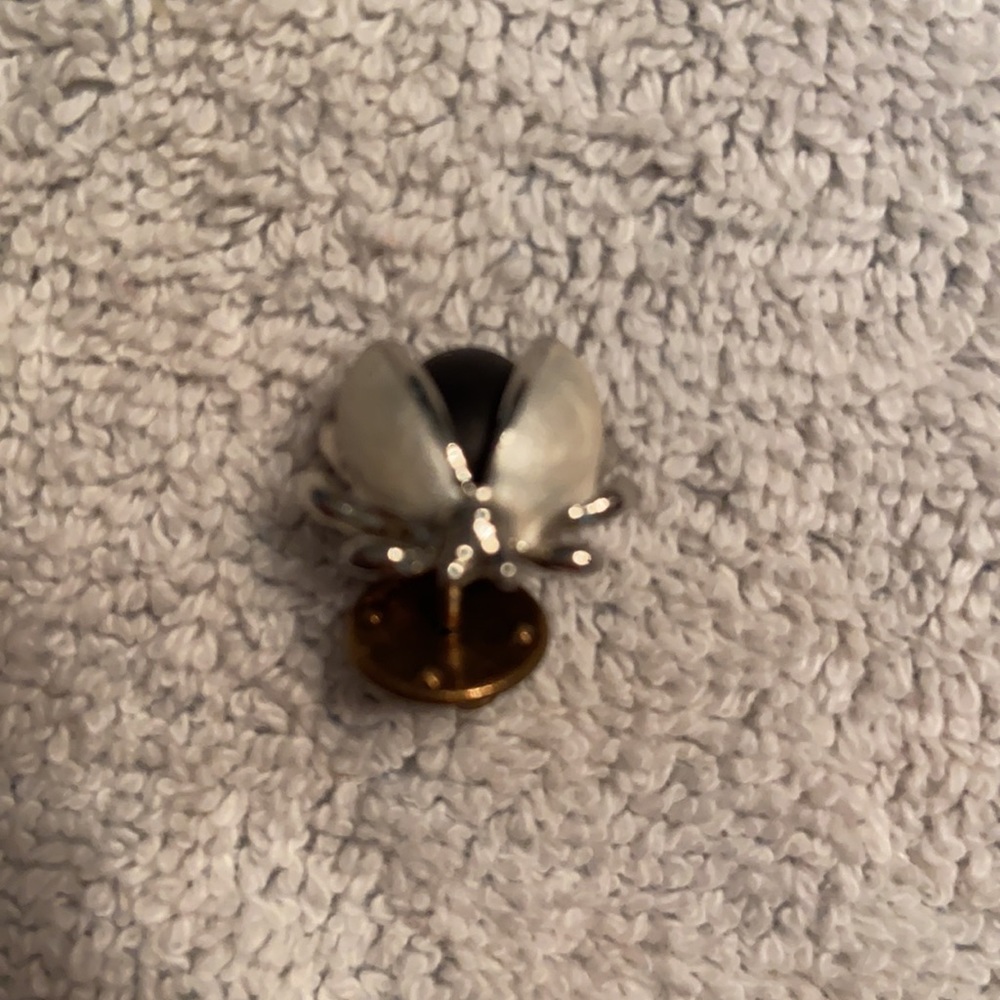Bug/Insect Pin Lot - Picture 2 of 5